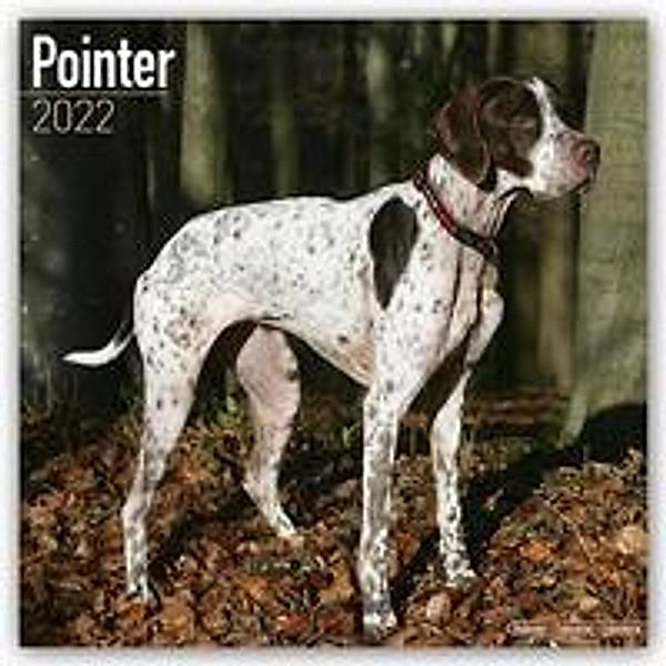 Pointer 2022 - 16-Monatskalender, Avonside Publishing Ltd