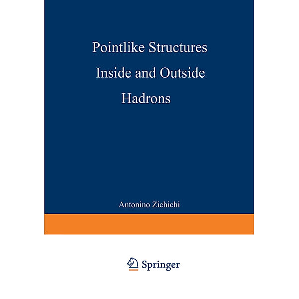 Pointlike Structures Inside and Outside Hadrons