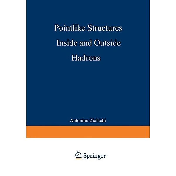 Pointlike Structures Inside and Outside Hadrons / The Subnuclear Series Bd.17