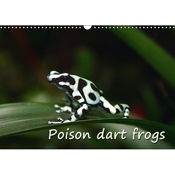 Poison dart frogs / UK-Version / Birthday Calendar (Wall Calendar 2018 DIN A3 Landscape), Chawera