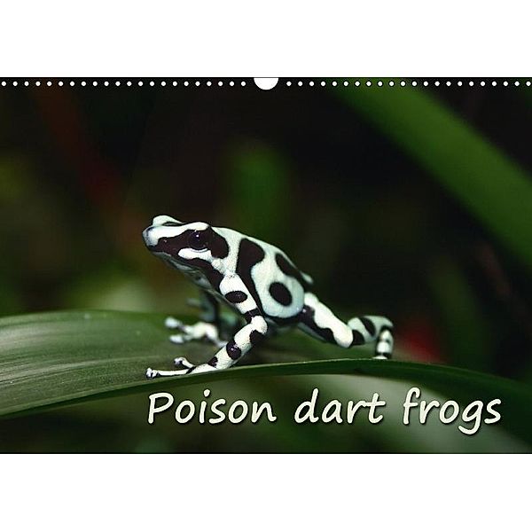 Poison dart frogs / UK-Version / Birthday Calendar (Wall Calendar 2017 DIN A3 Landscape), Chawera
