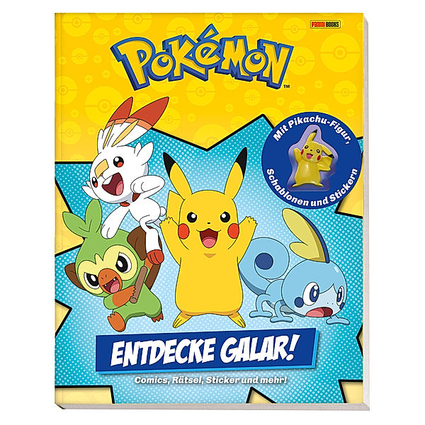 Pokémon: Entdecke Galar!, Maria S. Barbo, Tracey West, Ron Zalme