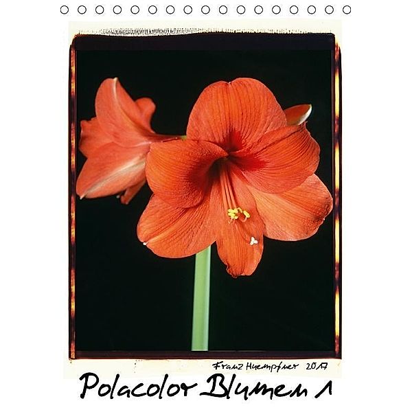 Polacolor Blumen 1 (Tischkalender 2017 DIN A5 hoch), Franz Huempfner