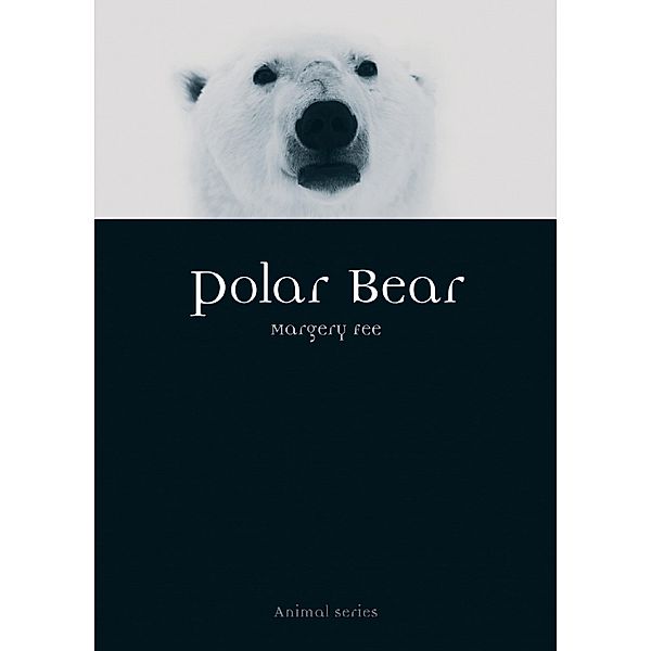 Polar Bear / Animal, Fee Margery Fee