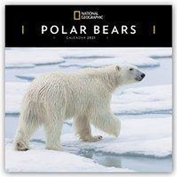 Polar Bears - Polarbären - Eisbären 2021, Carousel Calendars
