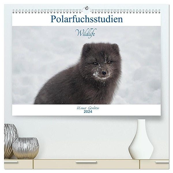 Polarfuchsstudien Wildlife (hochwertiger Premium Wandkalender 2024 DIN A2 quer), Kunstdruck in Hochglanz, Klaus Gerken