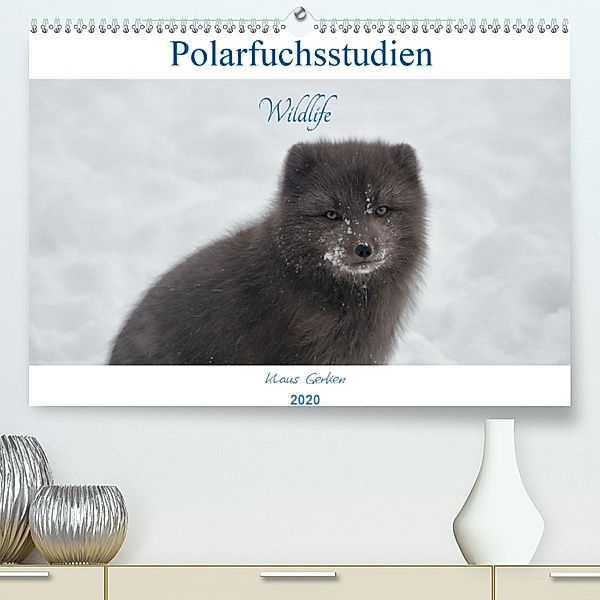 Polarfuchsstudien Wildlife (Premium-Kalender 2020 DIN A2 quer), Klaus Gerken