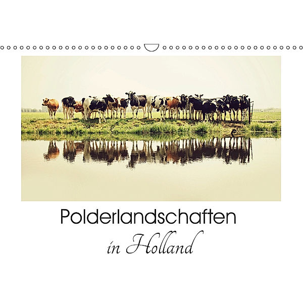 Polderlandschaften in Holland (Wandkalender 2019 DIN A3 quer), Annemieke van der Wiel