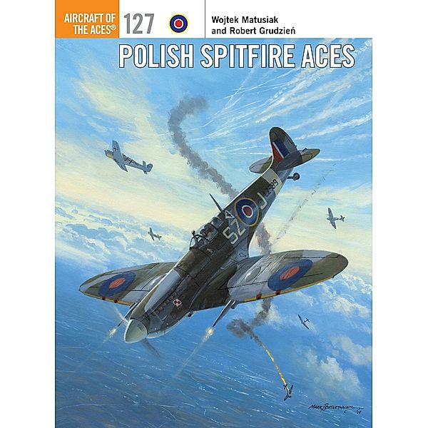 Polish Spitfire Aces, Wojtek Matusiak