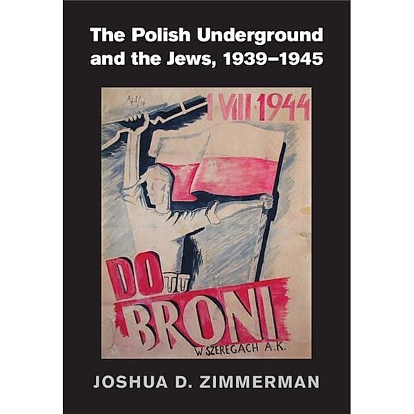 Polish Underground and the Jews, 1939-1945, Joshua D. Zimmerman