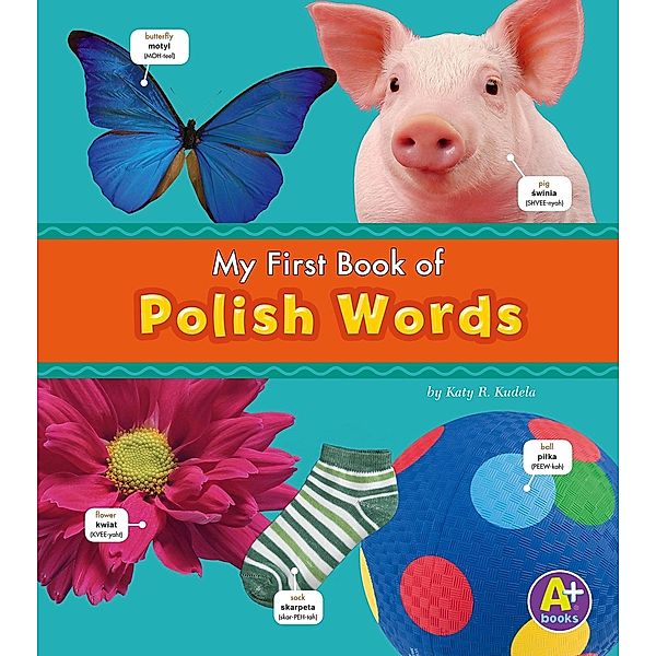 Polish Words, Katy R. Kudela