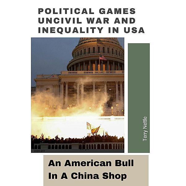 Political Games, Uncivil War and Inequality in USA: An American Bull In A China Shop, Terry Nettle