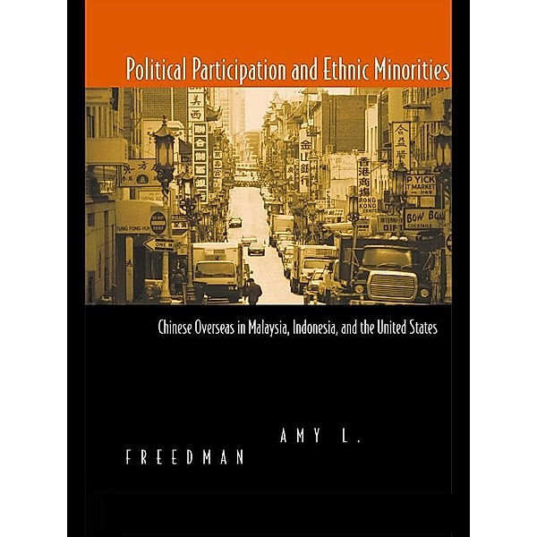 Political Participation and Ethnic Minorities, Amy L. Freedman