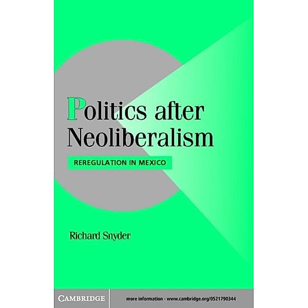 Politics after Neoliberalism, Richard Snyder
