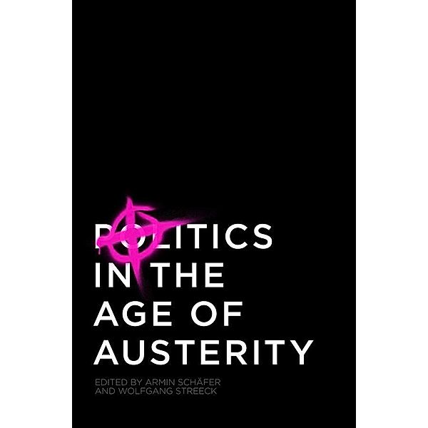 Politics in the Age of Austerity