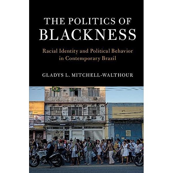 Politics of Blackness / Cambridge Studies in Stratification Economics: Economics and Social Identity, Gladys L. Mitchell-Walthour