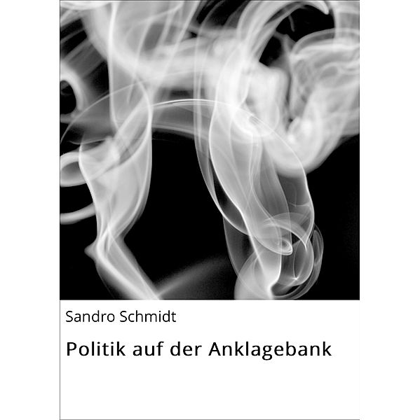 Politik auf der Anklagebank, Sandro Schmidt