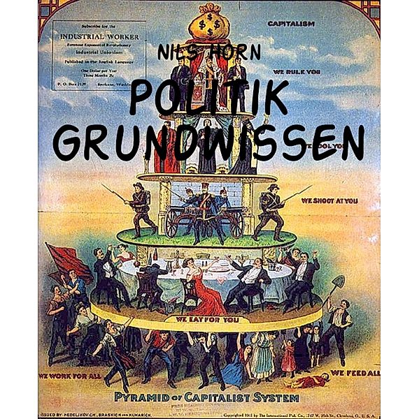Politik Grundwissen, Nils Horn