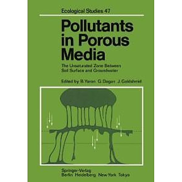 Pollutants in Porous Media / Ecological Studies Bd.47