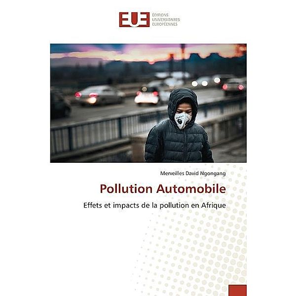 Pollution Automobile, Merveilles David Ngongang