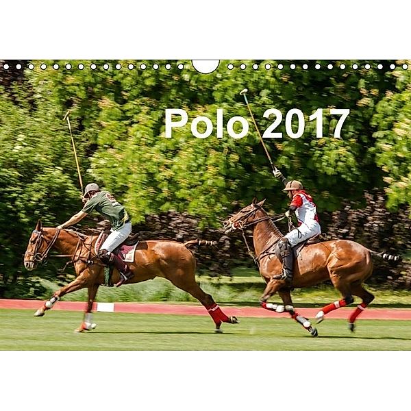 Polo 2017 (Wandkalender 2017 DIN A4 quer), Fotostrecke Georg Cutka, Georg Cutka