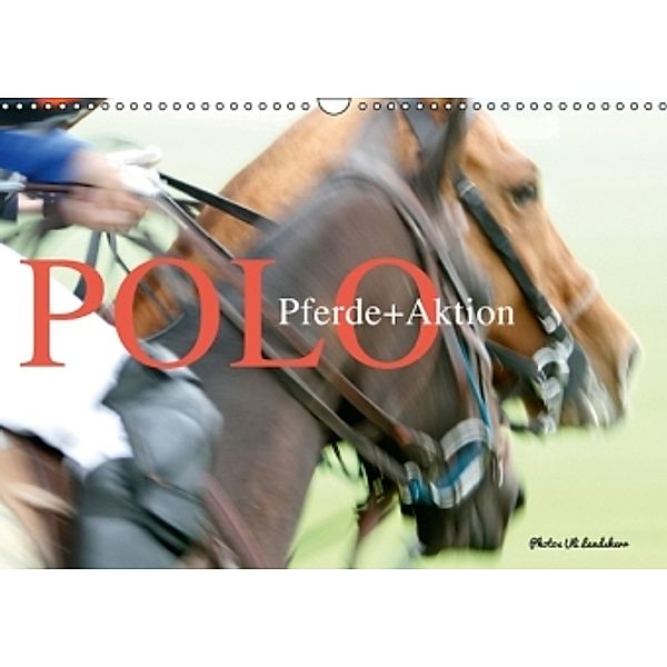 Polo Pferde + Aktion 2016 (Wandkalender 2016 DIN A3 quer), Uli Landsherr