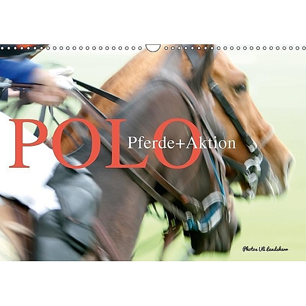 Polo Pferde + Aktion 2017 (Wandkalender 2017 DIN A3 quer), Uli Landsherr