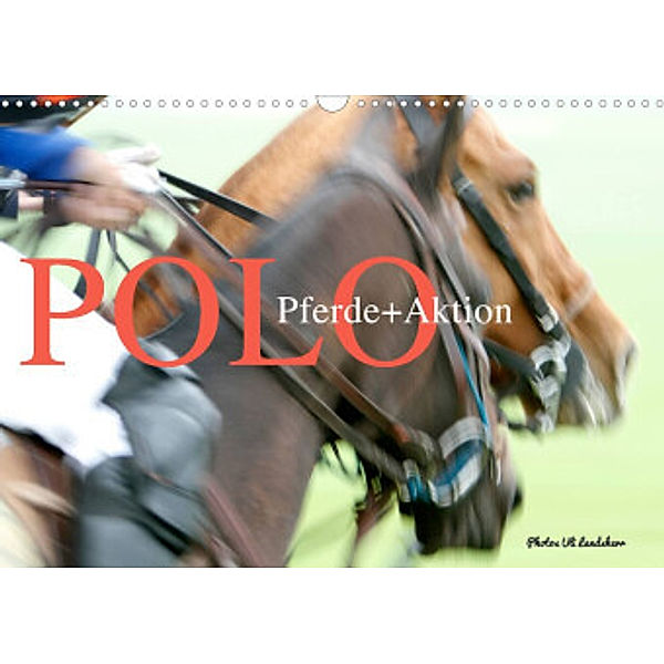 Polo Pferde + Aktion 2022 (Wandkalender 2022 DIN A3 quer), Uli Landsherr