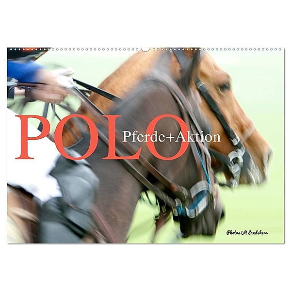 Polo Pferde + Aktion 2024 (Wandkalender 2024 DIN A2 quer), CALVENDO Monatskalender, Uli Landsherr