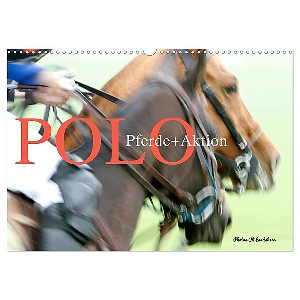 Polo Pferde + Aktion 2024 (Wandkalender 2024 DIN A3 quer), CALVENDO Monatskalender, Uli Landsherr
