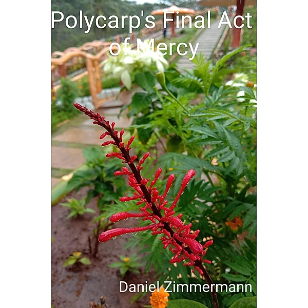 Polycarp's Final Act of Mercy, Daniel Zimmermann