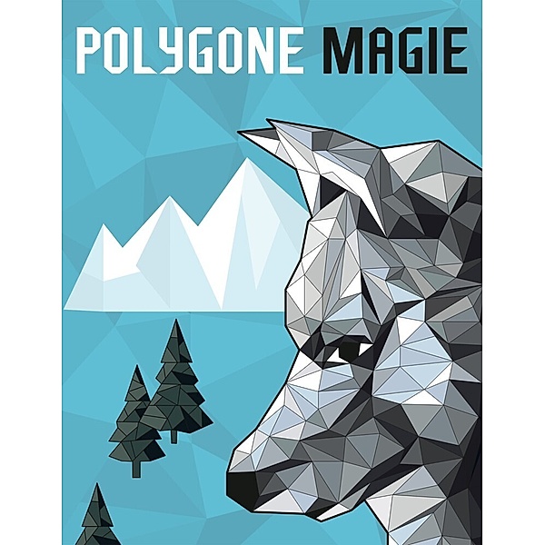 Polygone Magie, Christoph Alexander