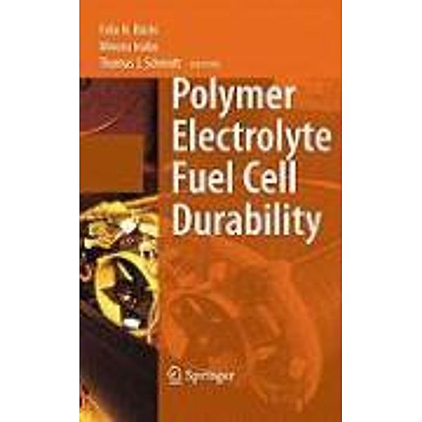 Polymer Electrolyte Fuel Cell Durability