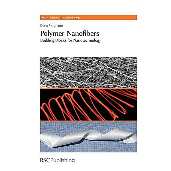 Polymer Nanofibers / ISSN, Dario Pisignano