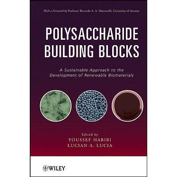 Polysaccharide Building Blocks, Youssef Habibi, Lucian A. Lucia