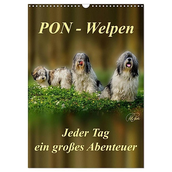 PON-Welpen - jeder Tag ein grosses Abenteuer / Planer (Wandkalender 2024 DIN A3 hoch), CALVENDO Monatskalender, Peter Roder