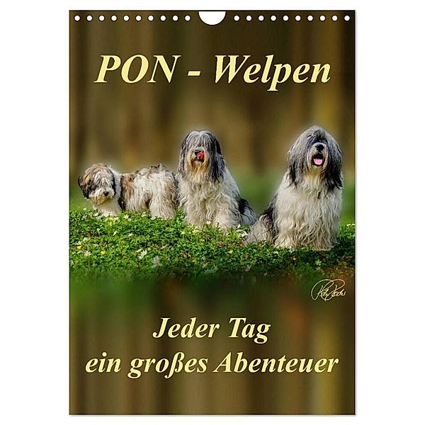 PON-Welpen - jeder Tag ein großes Abenteuer / Planer (Wandkalender 2024 DIN A4 hoch), CALVENDO Monatskalender, Peter Roder