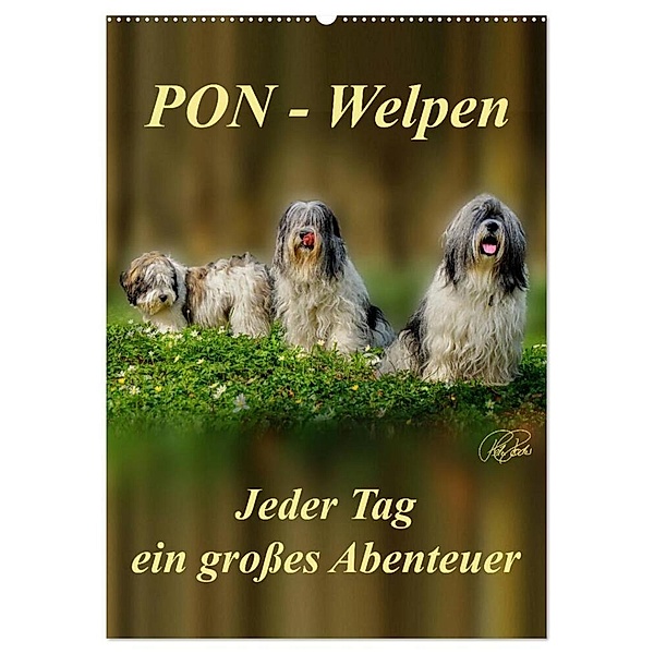 PON-Welpen - jeder Tag ein grosses Abenteuer / Planer (Wandkalender 2024 DIN A2 hoch), CALVENDO Monatskalender, Peter Roder