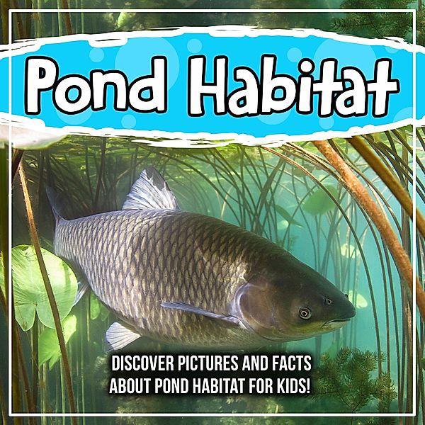 Pond Habitat: Discover Pictures and Facts About Pond Habitat For Kids! / Bold Kids, Bold Kids