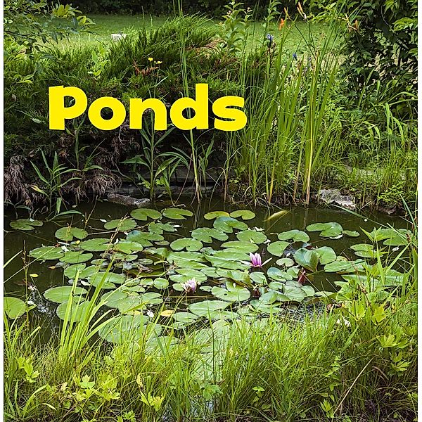 Ponds / Raintree Publishers, Erika L. Shores