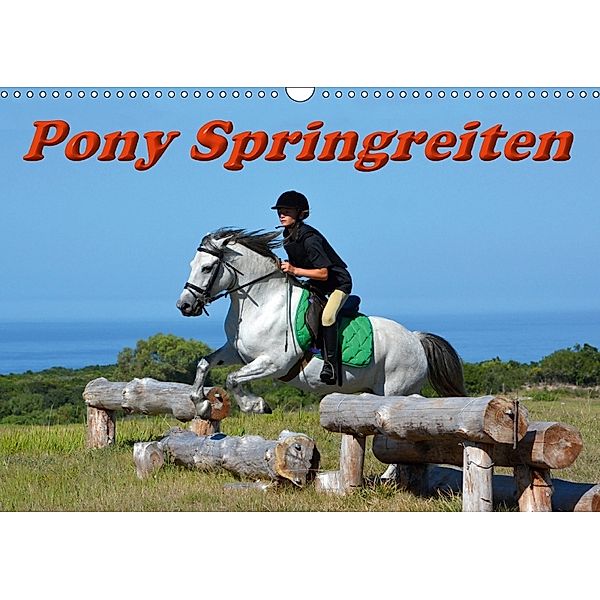 Pony Springreiten (Wandkalender 2018 DIN A3 quer), Anke van Wyk