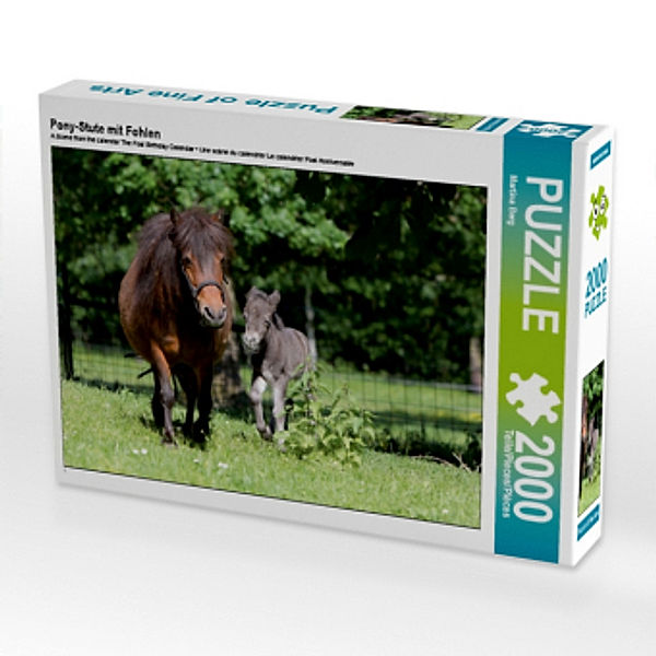 Pony-Stute mit Fohlen (Puzzle), Martina Berg