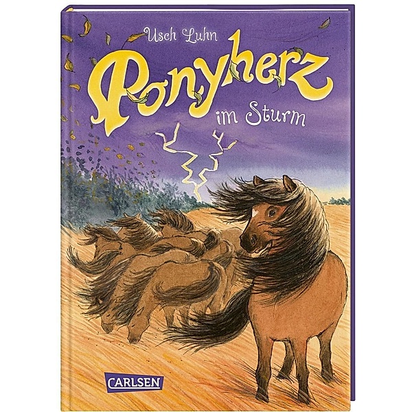 Ponyherz im Sturm / Ponyherz Bd.14, Usch Luhn