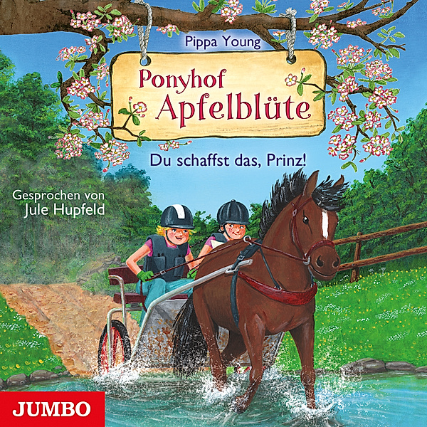 Ponyhof Apfelblüte - 19 - Du schaffst das, Prinz!, Pippa Young