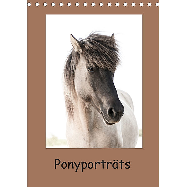 Ponyporträts (Tischkalender 2019 DIN A5 hoch), Angelika Beuck