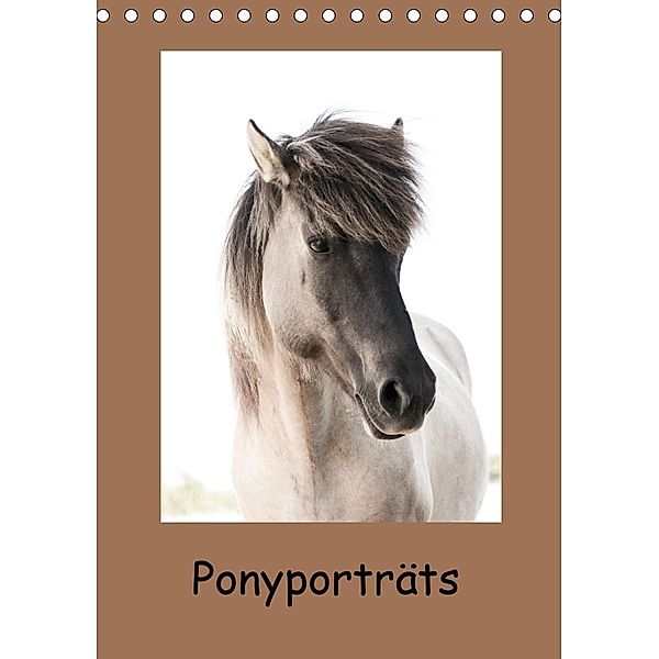 Ponyporträts (Tischkalender 2021 DIN A5 hoch), Angelika Beuck