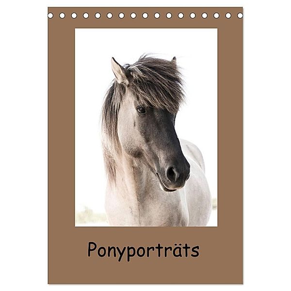 Ponyporträts (Tischkalender 2024 DIN A5 hoch), CALVENDO Monatskalender, Angelika Beuck
