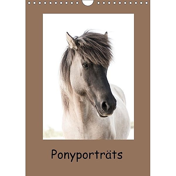 Ponyporträts (Wandkalender 2017 DIN A4 hoch), Angelika Beuck