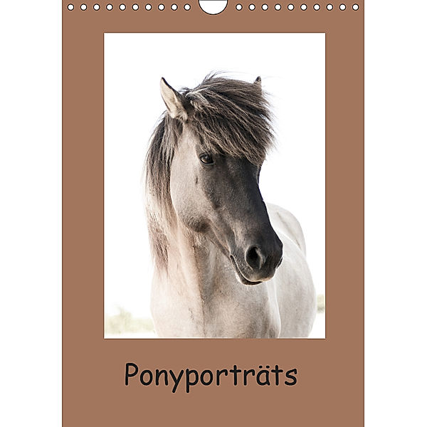 Ponyporträts (Wandkalender 2019 DIN A4 hoch), Angelika Beuck
