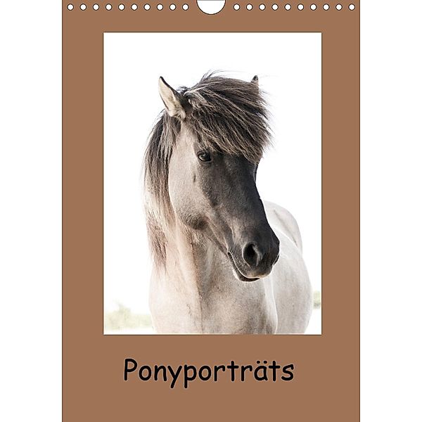Ponyporträts (Wandkalender 2021 DIN A4 hoch), Angelika Beuck